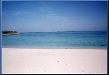 Grand Bahama fising